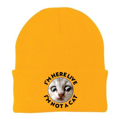 Funny Zoom Lawyer Cat Meme I'm Here Live I'm Not A Cat Knit Cap Winter Beanie