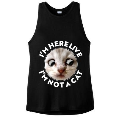 Funny Zoom Lawyer Cat Meme I'm Here Live I'm Not A Cat Ladies PosiCharge Tri-Blend Wicking Tank