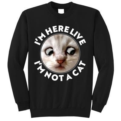 Funny Zoom Lawyer Cat Meme I'm Here Live I'm Not A Cat Sweatshirt