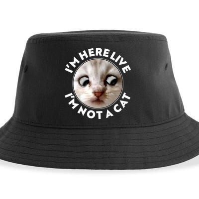 Funny Zoom Lawyer Cat Meme I'm Here Live I'm Not A Cat Sustainable Bucket Hat