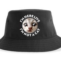 Funny Zoom Lawyer Cat Meme I'm Here Live I'm Not A Cat Sustainable Bucket Hat
