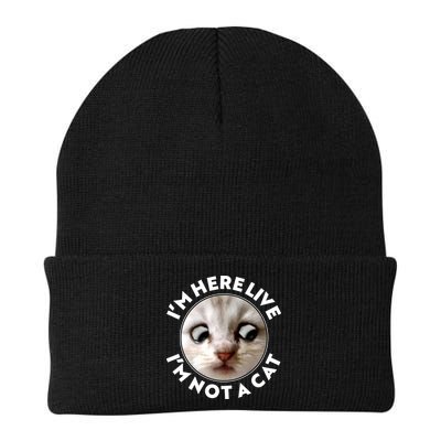 Funny Zoom Lawyer Cat Meme I'm Here Live I'm Not A Cat Beanie