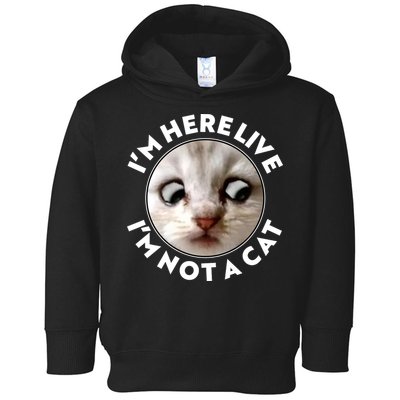 Funny Zoom Lawyer Cat Meme I'm Here Live I'm Not A Cat Toddler Hoodie