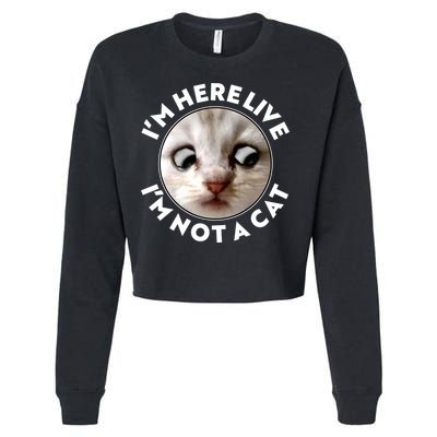 Funny Zoom Lawyer Cat Meme I'm Here Live I'm Not A Cat Cropped Pullover Crew