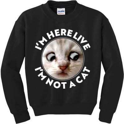 Funny Zoom Lawyer Cat Meme I'm Here Live I'm Not A Cat Kids Sweatshirt