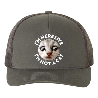 Funny Zoom Lawyer Cat Meme I'm Here Live I'm Not A Cat Yupoong Adult 5-Panel Trucker Hat