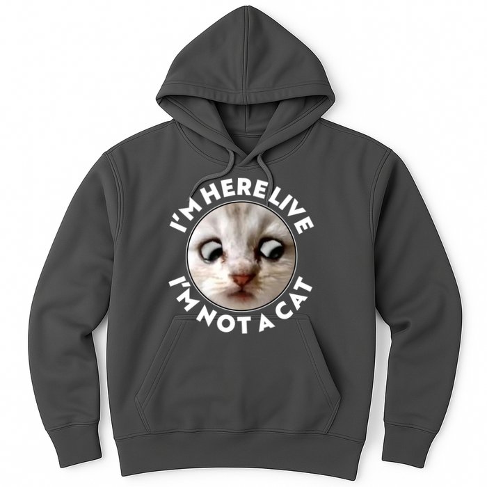 Funny Zoom Lawyer Cat Meme I'm Here Live I'm Not A Cat Hoodie