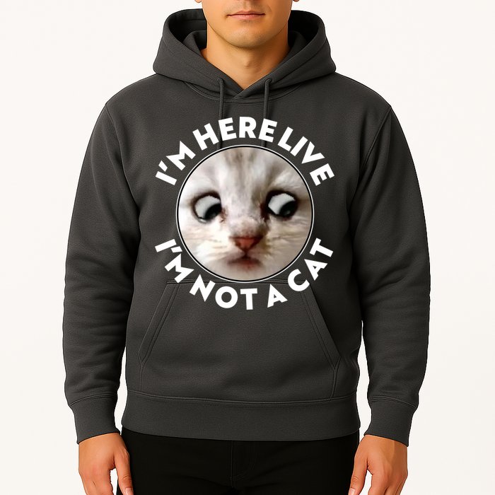 Funny Zoom Lawyer Cat Meme I'm Here Live I'm Not A Cat Hoodie