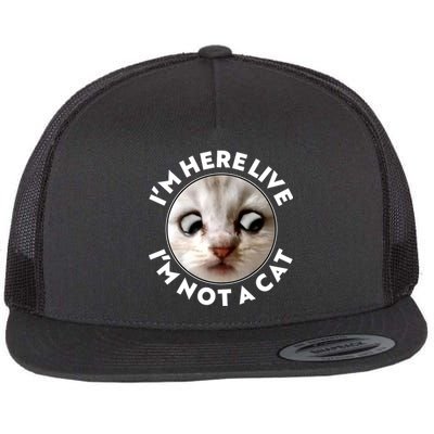 Funny Zoom Lawyer Cat Meme I'm Here Live I'm Not A Cat Flat Bill Trucker Hat