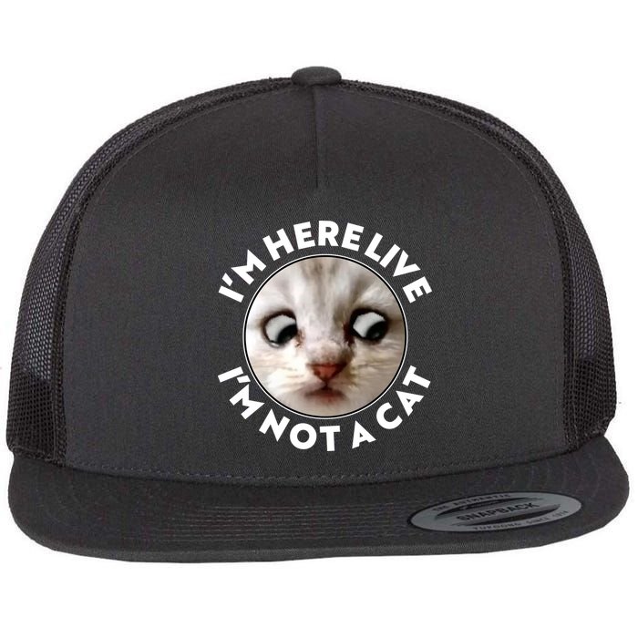Funny Zoom Lawyer Cat Meme I'm Here Live I'm Not A Cat Flat Bill Trucker Hat