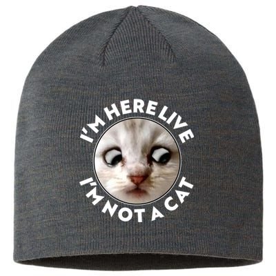 Funny Zoom Lawyer Cat Meme I'm Here Live I'm Not A Cat Sustainable Beanie