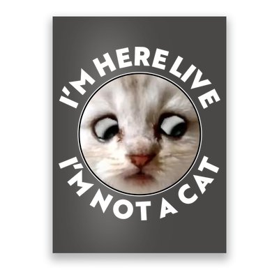 Funny Zoom Lawyer Cat Meme I'm Here Live I'm Not A Cat Poster