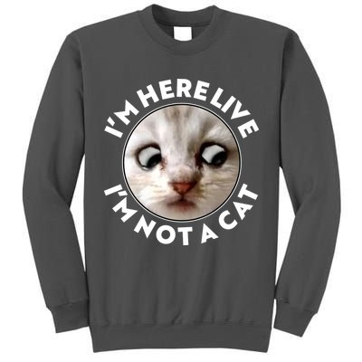 Funny Zoom Lawyer Cat Meme I'm Here Live I'm Not A Cat Tall Sweatshirt