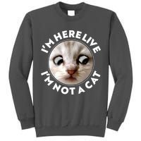 Funny Zoom Lawyer Cat Meme I'm Here Live I'm Not A Cat Tall Sweatshirt