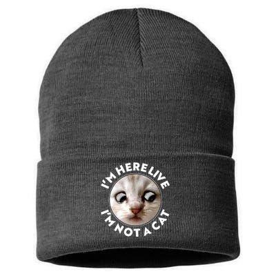 Funny Zoom Lawyer Cat Meme I'm Here Live I'm Not A Cat Sustainable Knit Beanie