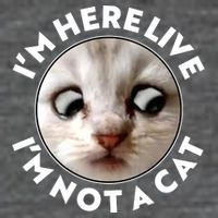 Funny Zoom Lawyer Cat Meme I'm Here Live I'm Not A Cat Baby Bodysuit