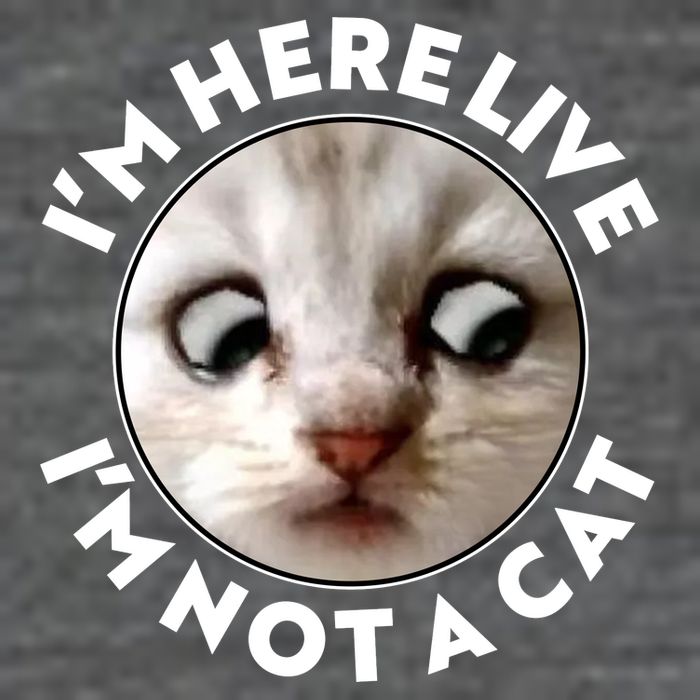Funny Zoom Lawyer Cat Meme I'm Here Live I'm Not A Cat Baby Bodysuit
