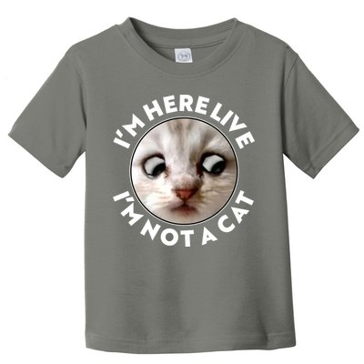 Funny Zoom Lawyer Cat Meme I'm Here Live I'm Not A Cat Toddler T-Shirt