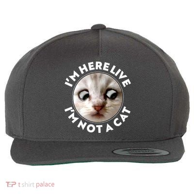 Funny Zoom Lawyer Cat Meme I'm Here Live I'm Not A Cat Wool Snapback Cap