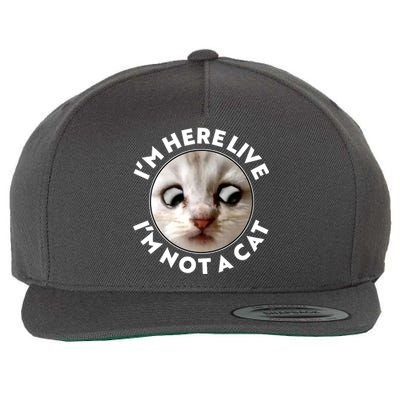 Funny Zoom Lawyer Cat Meme I'm Here Live I'm Not A Cat Wool Snapback Cap