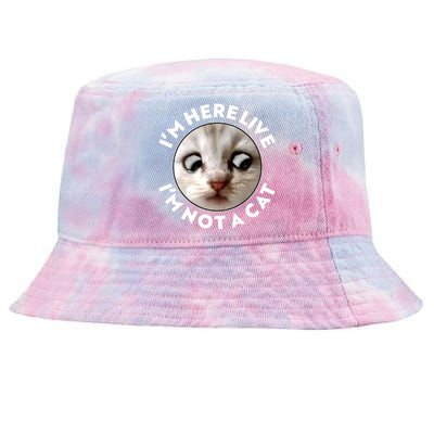 Funny Zoom Lawyer Cat Meme I'm Here Live I'm Not A Cat Tie-Dyed Bucket Hat