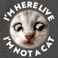 Funny Zoom Lawyer Cat Meme I'm Here Live I'm Not A Cat Vector Backpack