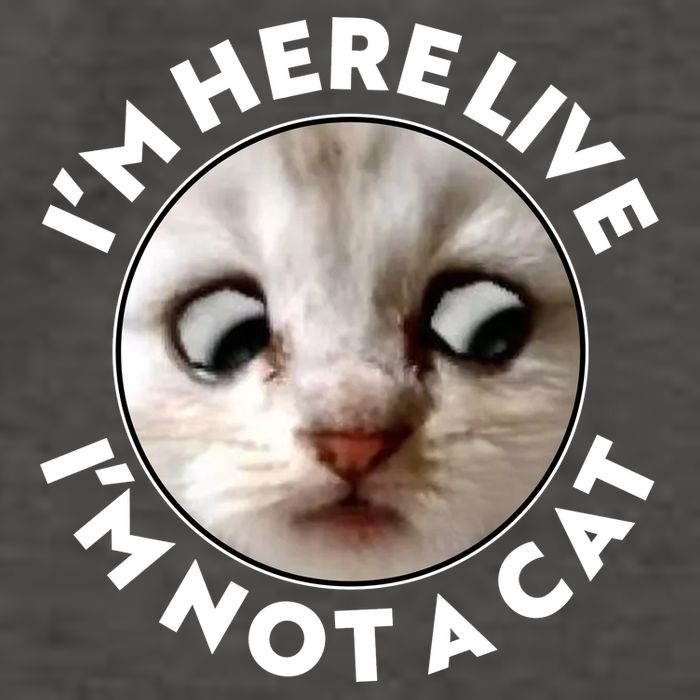 Funny Zoom Lawyer Cat Meme I'm Here Live I'm Not A Cat Vector Backpack