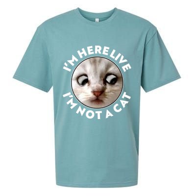 Funny Zoom Lawyer Cat Meme I'm Here Live I'm Not A Cat Sueded Cloud Jersey T-Shirt