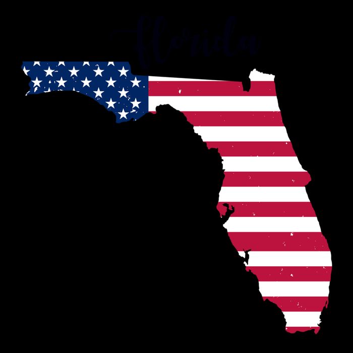 Florida United States Map Mug