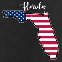 Florida United States Map 11oz C Handle Ceramic Mug