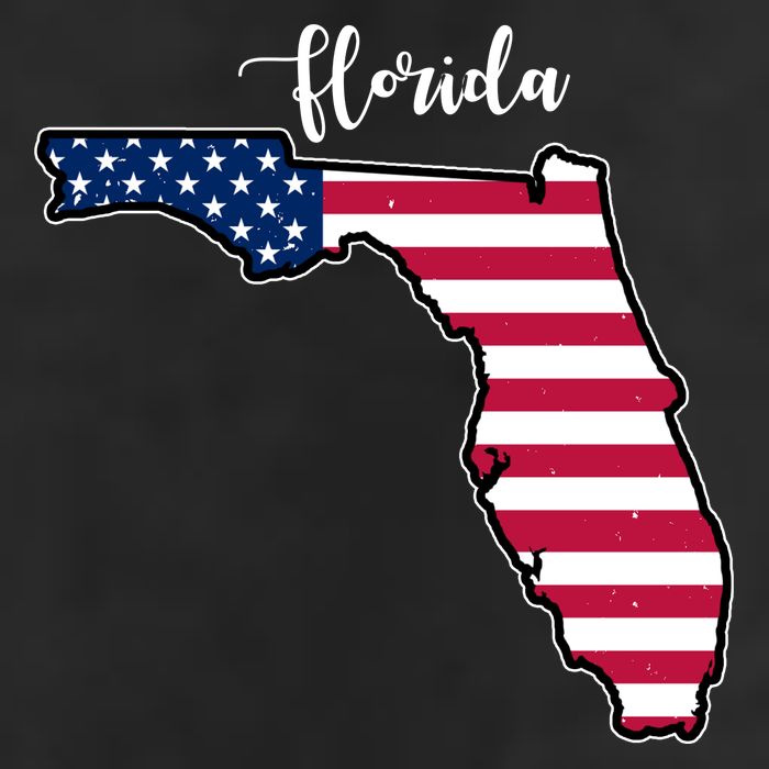 Florida United States Map 11oz C Handle Ceramic Mug