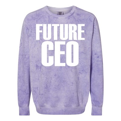 Future CEO Colorblast Crewneck Sweatshirt