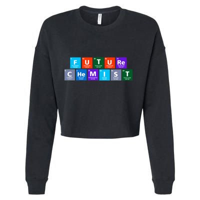 Future Chemist Cropped Pullover Crew