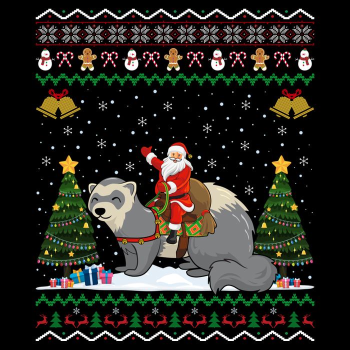 Ferret Ugly Xmas Gift Santa Riding Ferret Christmas Gift Youth Performance Sprint T-Shirt