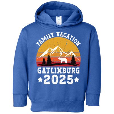 Family Vacation 2025 Gatlinburg Tennessee Smoky Mountains Gift Toddler Hoodie