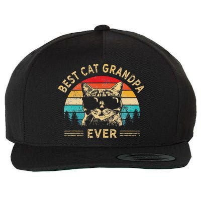 Funny Vintage Best Cat Grandpa Ever Funny Fathers Day Wool Snapback Cap