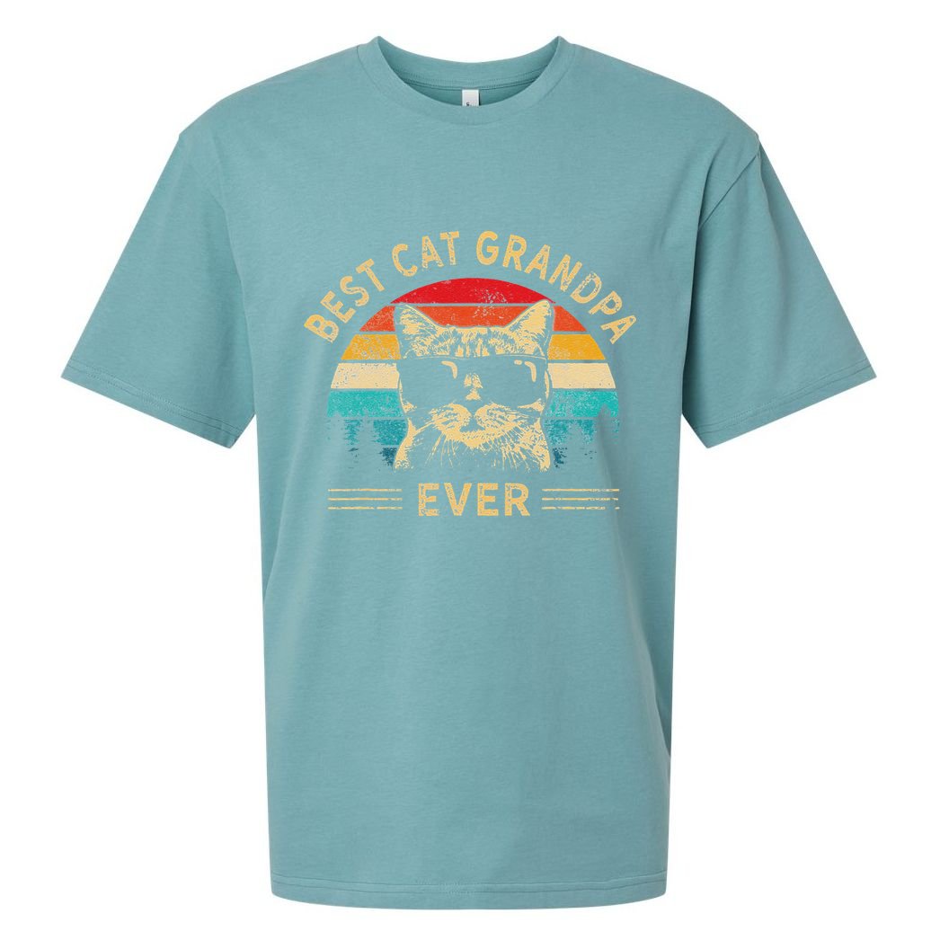 Funny Vintage Best Cat Grandpa Ever Funny Fathers Day Sueded Cloud Jersey T-Shirt