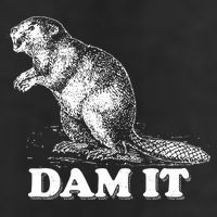 Funny Vintage Beaver Dam It Beanie