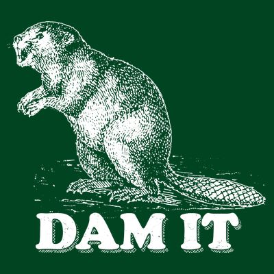 Funny Vintage Beaver Dam It T-Shirt