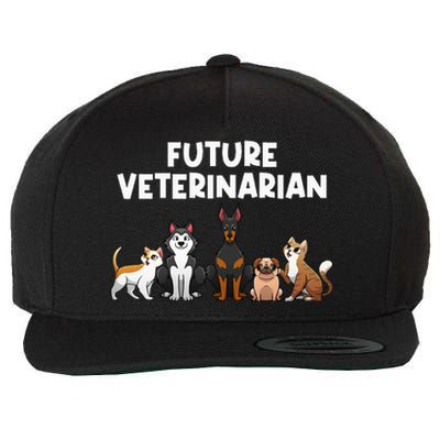 Future Veterinarian Boy Girl Veterinary Assistant Technician Wool Snapback Cap