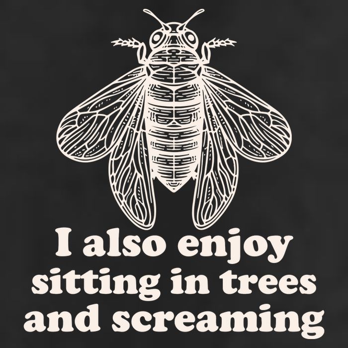 Funny Vintage Cicada I Also Enjoy Sitting In Trees And Screaming Garment-Dyed Heavyweight T-Shirt