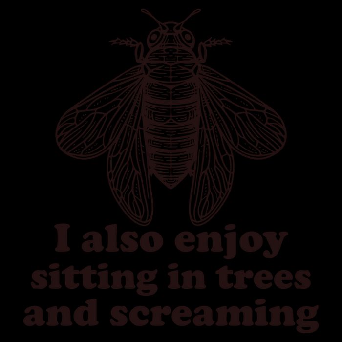 Funny Vintage Cicada I Also Enjoy Sitting In Trees And Screaming Mug