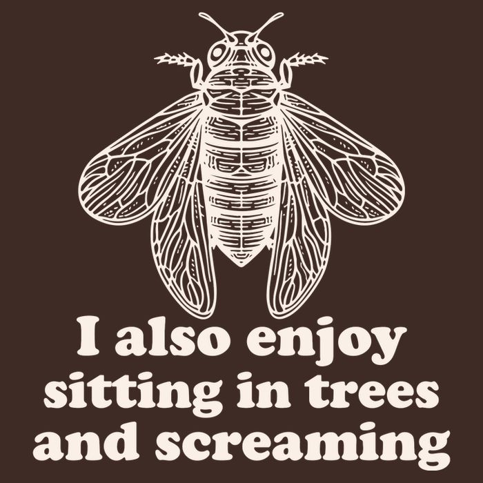 Funny Vintage Cicada I Also Enjoy Sitting In Trees And Screaming Beanie