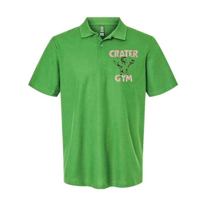 Funny Vintage Crater Gym Softstyle Adult Sport Polo