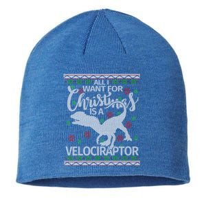 Funny Velociraptor Christmas Gift Dinosaur Christmas Cute Gift Sustainable Beanie