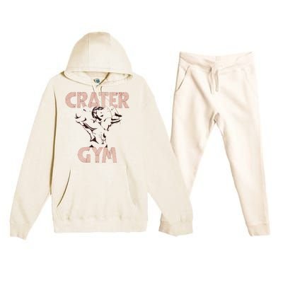 Funny Vintage Crater Gym Premium Hooded Sweatsuit Set