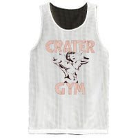 Funny Vintage Crater Gym Mesh Reversible Basketball Jersey Tank