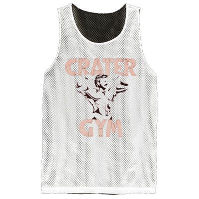 Funny Vintage Crater Gym Mesh Reversible Basketball Jersey Tank