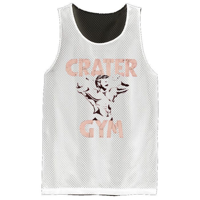 Funny Vintage Crater Gym Mesh Reversible Basketball Jersey Tank