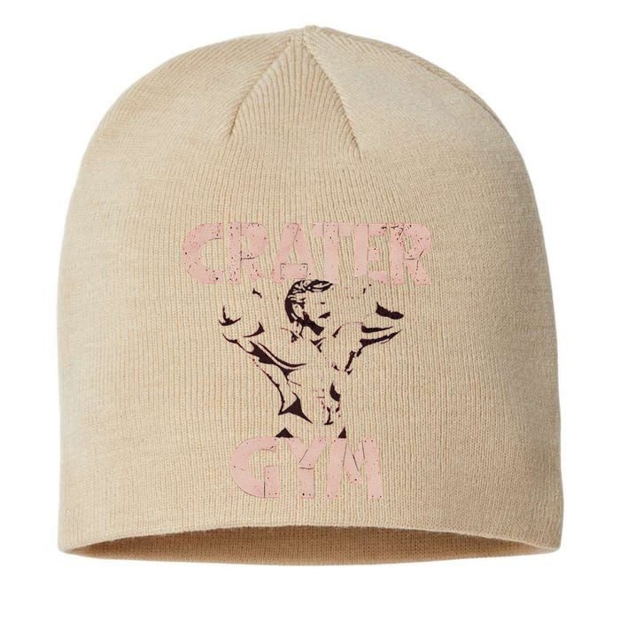 Funny Vintage Crater Gym Gift Sustainable Beanie